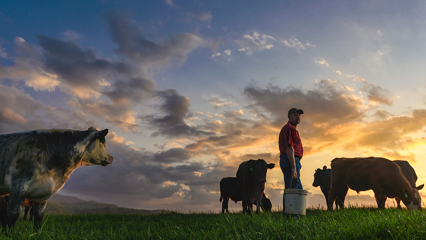Cattlemen and the environment sustainability