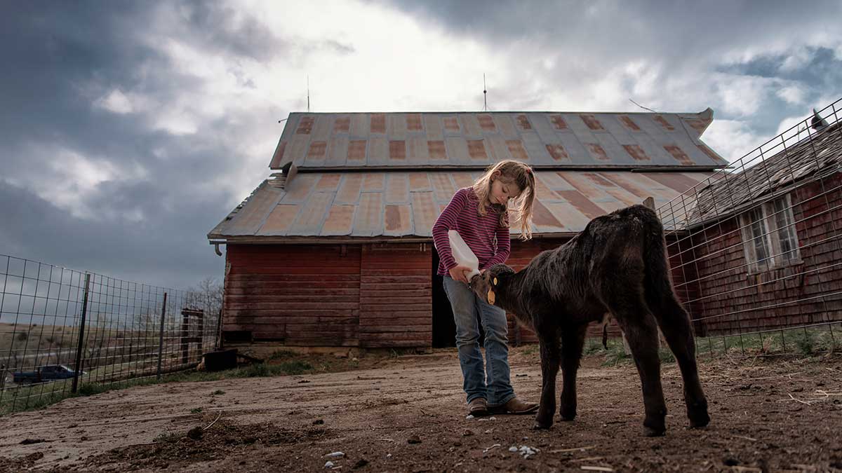 The Kraffts Family Beef Farm in Kansas