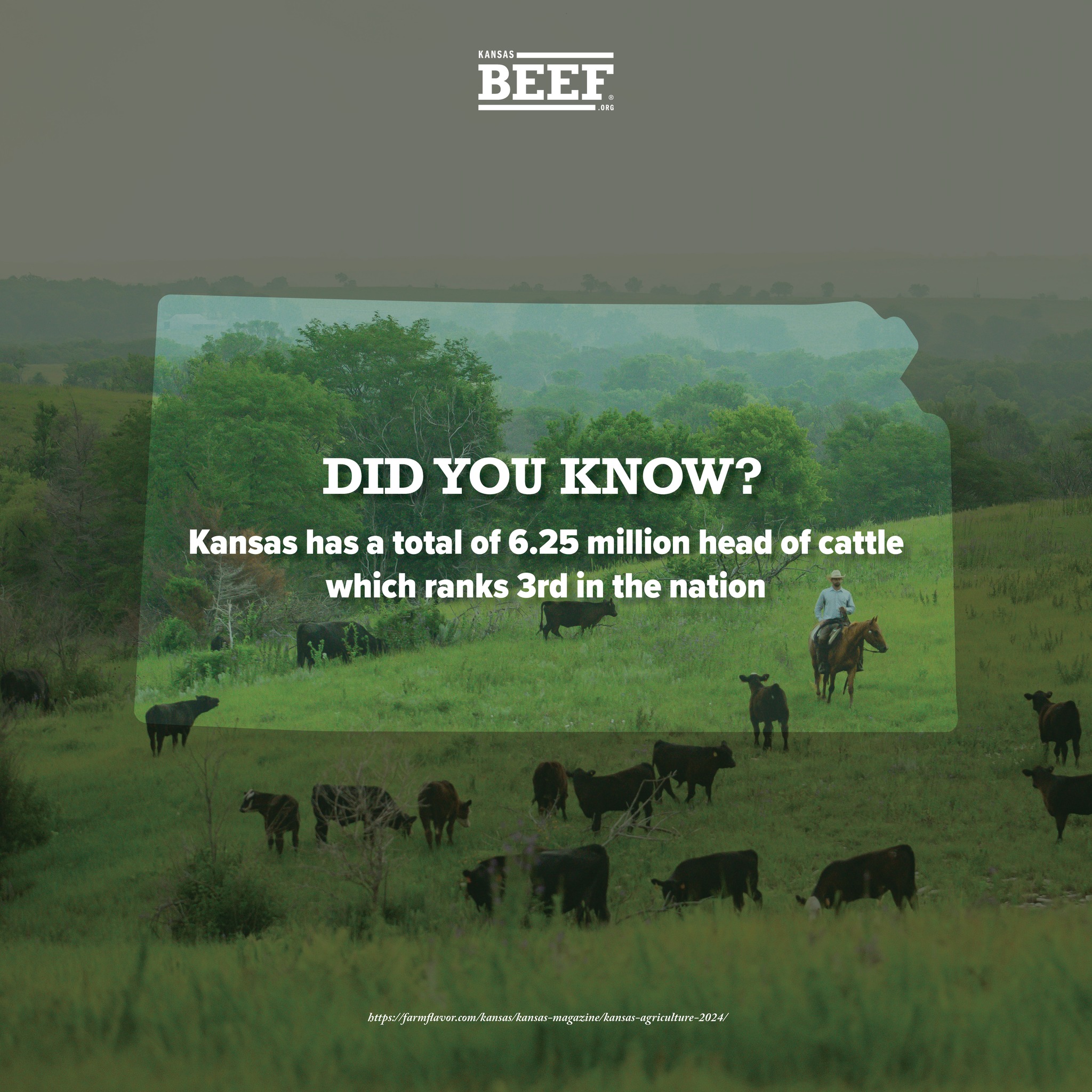 1753e182-67bc-e234-840c-676ef5813fc7.jpg Kansas beef fun facts for 2024 beef month