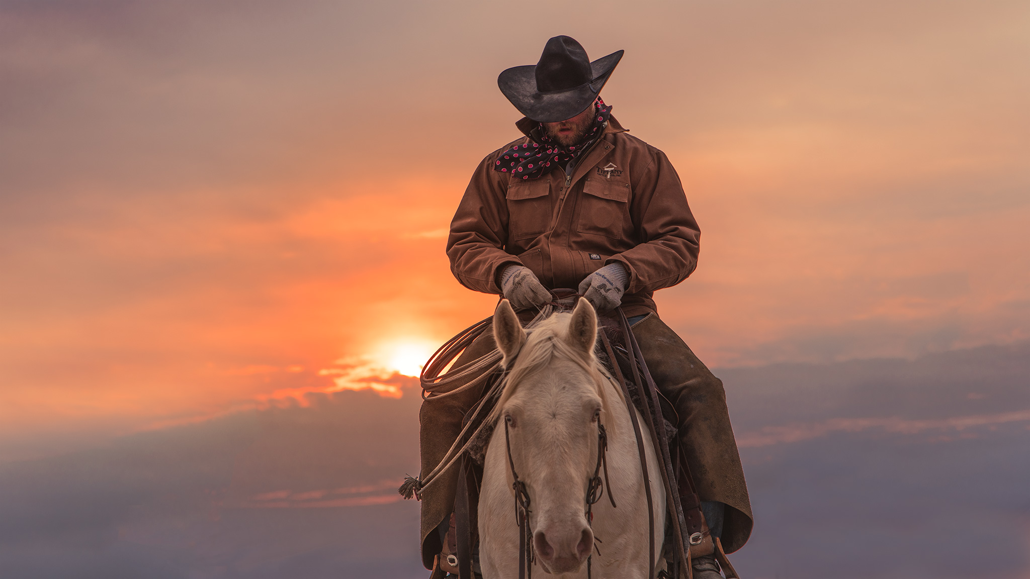 Pen Rider Cowboy