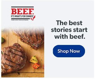 9af3a5b5-4993-d447-0266-667568f47828.jpeg Ecommerce banner ad