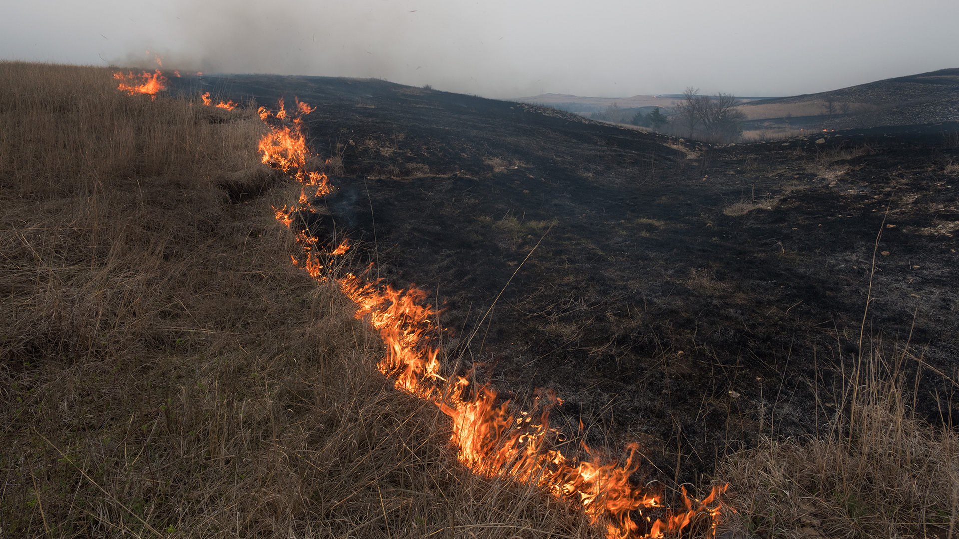 Prescribed Burn