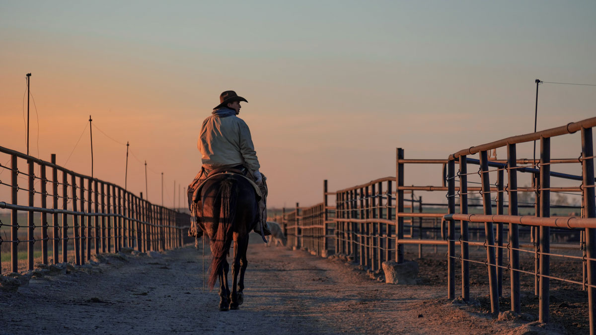 pen rider on horse walking away