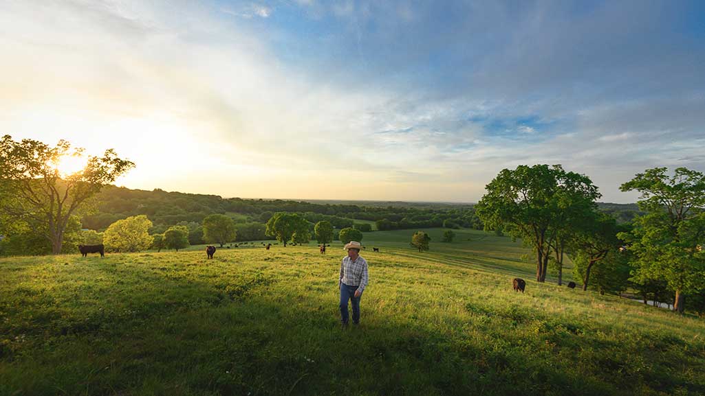 Beef in a healthy sustainable diet rancher checking on cattle