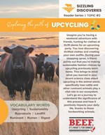 bf-rdr-2-upcycling-final-4p_arms022124-12_page_1.jpg