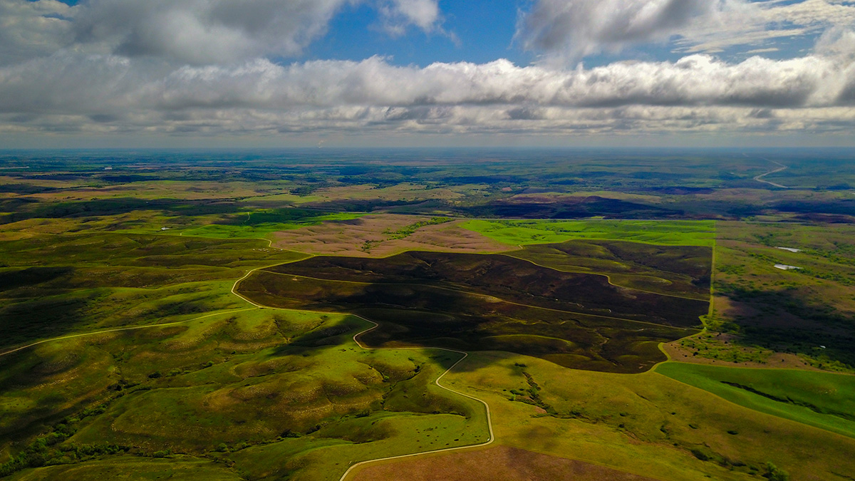 Tall grass prarie fire scar