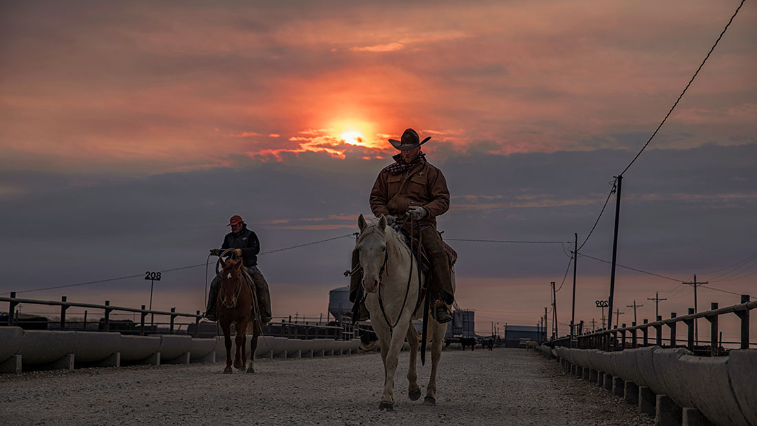 Kansas-cowboys-on-horses-in-feedlot-