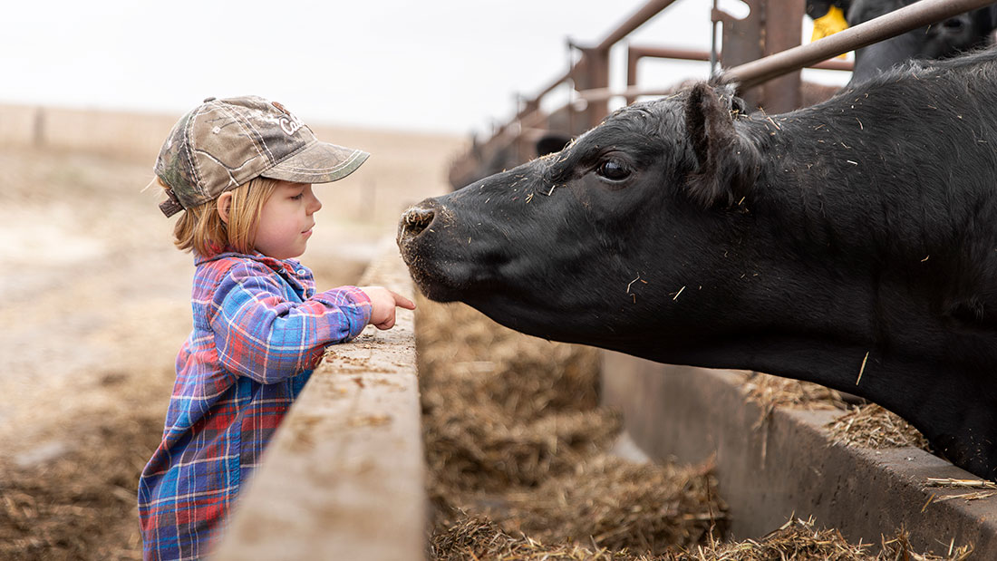 The Kraffts - Family Beef Farm in Kansas