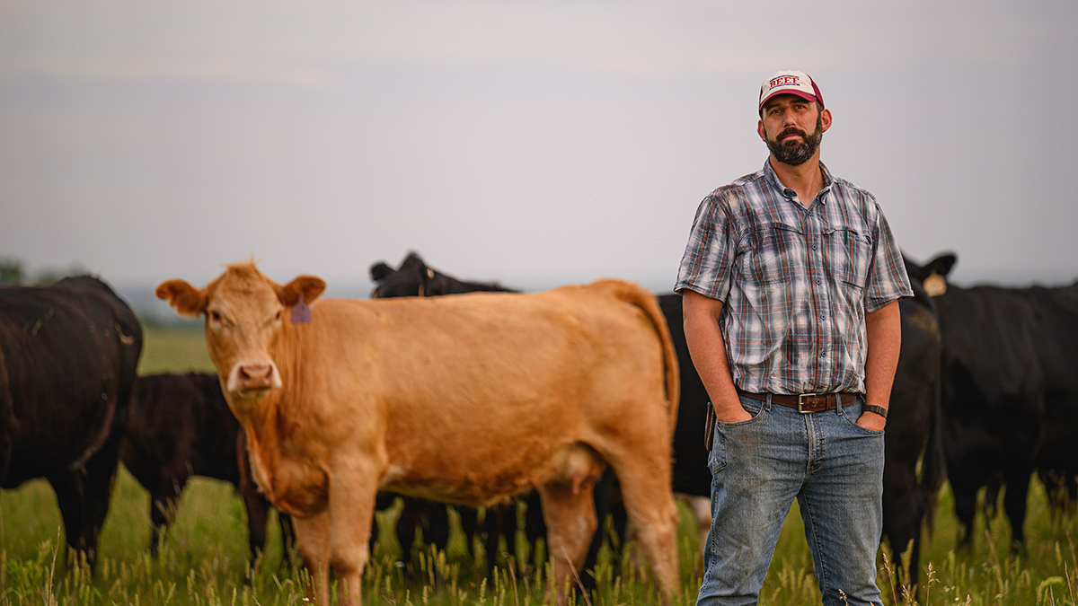 kansas-rancher-with-cattle Kansas rancher with red angus