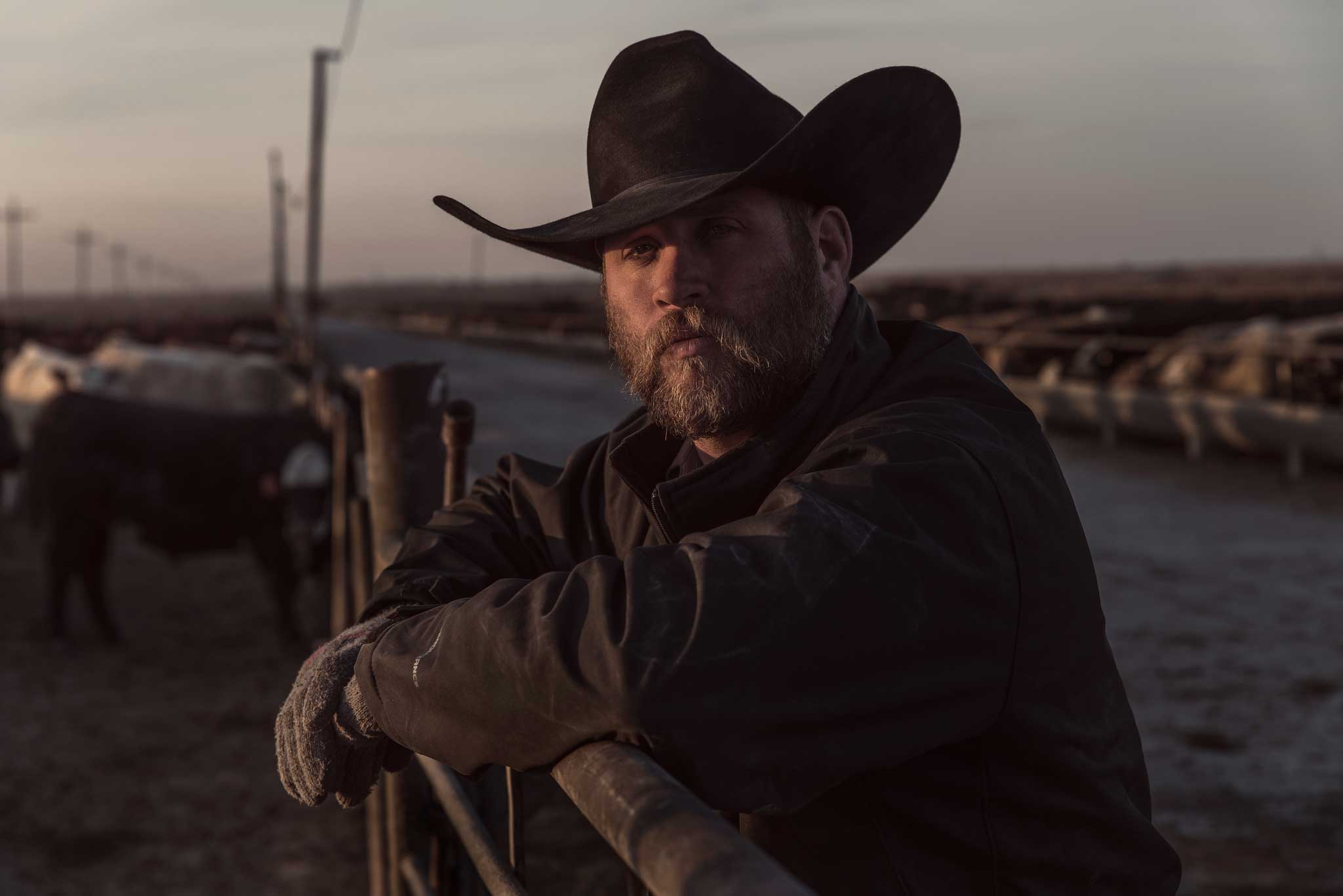 Pen Rider Cowboy Feedlot Feedyard