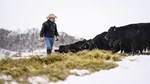 rancher checking on cattle during winter