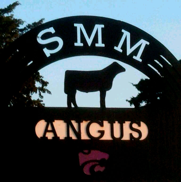 SMM Angus