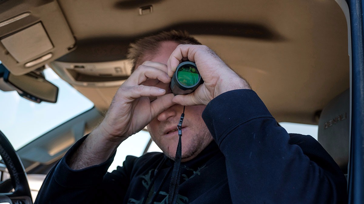 veterinarian checking on health of cattle in feedlot 