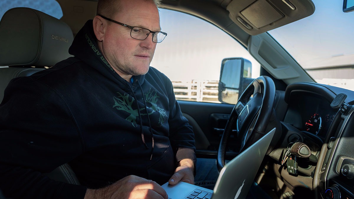 Veterinarian taking care of cattle in feed lot 