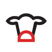 beef-cow